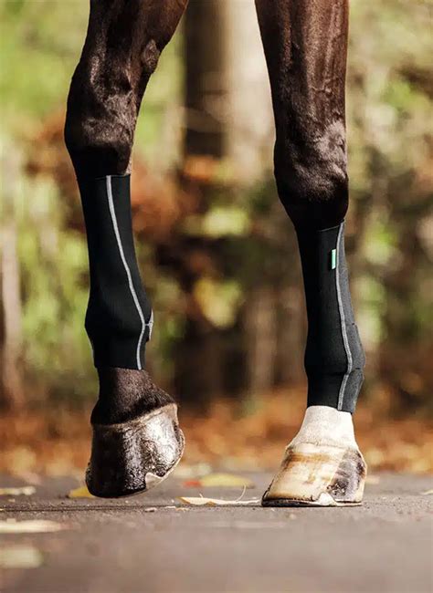 equicrown|EquiCrown® USA – EquiCrown USA.